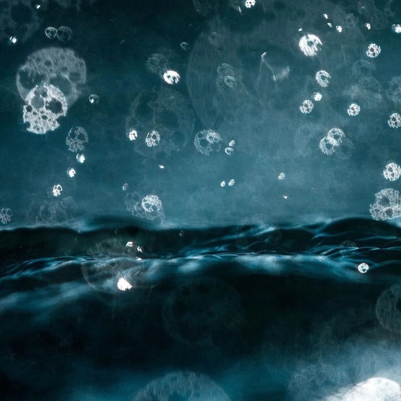 Meet your Posher, Kristen - Picture 2 of 2